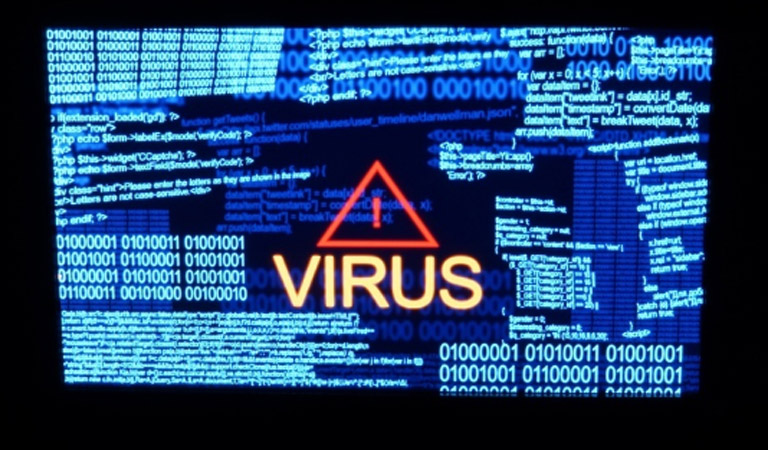 New York virus removal